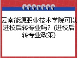 云南能源职业技术学院可以进校后转专业吗？(进校后转专业政策)