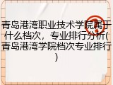 青岛港湾职业技术学院属于什么档次，专业排行分析(青岛港湾学院档次专业排行)