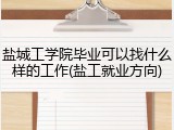 盐城工学院毕业可以找什么样的工作(盐工就业方向)