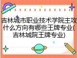 吉林城市职业技术学院主攻什么方向有哪些王牌专业(吉林城院王牌专业)