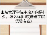 山东管理学院主攻方向是什么，怎么样(山东管理学院优势专业)