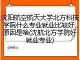 沈阳航空航天大学北方科技学院什么专业就业比较好，原因是啥(沈航北方学院好就业专业)