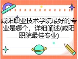咸阳职业技术学院最好的专业是哪个，详细阐述(咸阳职院最佳专业)