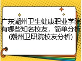 广东潮州卫生健康职业学院有哪些知名校友，简单分析(潮州卫职院校友分析)