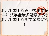 湖北生态工程职业技术学院一年奖学金最多能拿多少(湖北生态工程奖学金最高额)