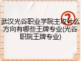 武汉光谷职业学院主攻什么方向有哪些王牌专业(光谷职院王牌专业)