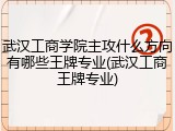 武汉工商学院主攻什么方向有哪些王牌专业(武汉工商王牌专业)