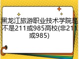 黑龙江旅游职业技术学院是不是211或985高校(非211或985)