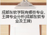 成都东软学院有哪些专业，王牌专业分析(成都东软专业及王牌)