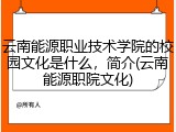 云南能源职业技术学院的校园文化是什么，简介(云南能源职院文化)