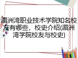 湄洲湾职业技术学院知名校友有哪些，校史介绍(湄洲湾学院校友与校史)
