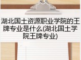 湖北国土资源职业学院的王牌专业是什么(湖北国土学院王牌专业)