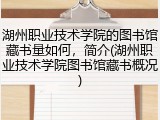 湖州职业技术学院的图书馆藏书量如何，简介(湖州职业技术学院图书馆藏书概况)
