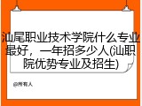 汕尾职业技术学院什么专业最好，一年招多少人(汕职院优势专业及招生)