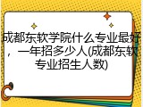 成都东软学院什么专业最好，一年招多少人(成都东软专业招生人数)