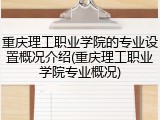 重庆理工职业学院的专业设置概况介绍(重庆理工职业学院专业概况)