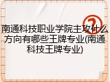 南通科技职业学院主攻什么方向有哪些王牌专业(南通科技王牌专业)