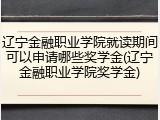 辽宁金融职业学院就读期间可以申请哪些奖学金(辽宁金融职业学院奖学金)
