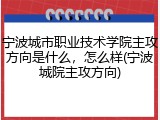 宁波城市职业技术学院主攻方向是什么，怎么样(宁波城院主攻方向)