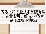青岛飞洋职业技术学院有没有就业指导，好就业吗(青岛飞洋就业情况)