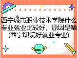 西宁城市职业技术学院什么专业就业比较好，原因是啥(西宁职院好就业专业)