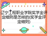 辽宁工程职业学院奖学金评定细则是怎样的(奖学金评定细则)