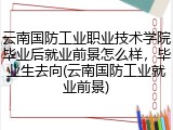 云南国防工业职业技术学院毕业后就业前景怎么样，毕业生去向(云南国防工业就业前景)