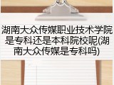 湖南大众传媒职业技术学院是专科还是本科院校呢(湖南大众传媒是专科吗)