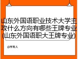 山东外国语职业技术大学主攻什么方向有哪些王牌专业(山东外国语职大王牌专业)