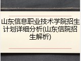 山东信息职业技术学院招生计划详细分析(山东信院招生解析)