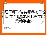 沈阳工程学院有哪些奖学金和助学金呢(沈阳工程学院奖助学金)
