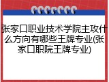 张家口职业技术学院主攻什么方向有哪些王牌专业(张家口职院王牌专业)