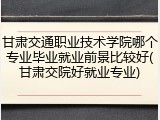 甘肃交通职业技术学院哪个专业毕业就业前景比较好(甘肃交院好就业专业)