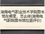 湖南电气职业技术学院图书馆在哪里，怎么样(湖南电气职院图书馆位置评价)
