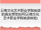 云南文化艺术职业学院就读的真实感觉如何(云南文化艺术职业学院就读体验)