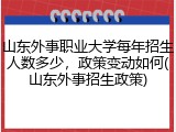 山东外事职业大学每年招生人数多少，政策变动如何(山东外事招生政策)