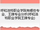 呼和浩特职业学院有哪些专业，王牌专业分析(呼和浩特职业学院王牌专业)