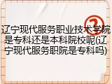 辽宁现代服务职业技术学院是专科还是本科院校呢(辽宁现代服务职院是专科吗)