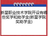 新星职业技术学院开设有哪些奖学和助学金(新星学院奖助学金)