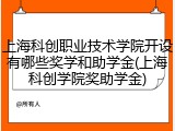 上海科创职业技术学院开设有哪些奖学和助学金(上海科创学院奖助学金)