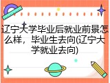 辽宁大学毕业后就业前景怎么样，毕业生去向(辽宁大学就业去向)