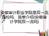 安徽审计职业学院是双一流高校吗，简单介绍(安徽审计学院双一流吗)