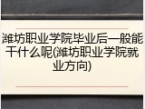 潍坊职业学院毕业后一般能干什么呢(潍坊职业学院就业方向)