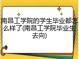 南昌工学院的学生毕业都怎么样了(南昌工学院毕业生去向)