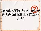湖北美术学院毕业生就业大致去向如何(湖北美院就业去向)