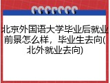 北京外国语大学毕业后就业前景怎么样，毕业生去向(北外就业去向)