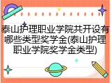 泰山护理职业学院共开设有哪些类型奖学金(泰山护理职业学院奖学金类型)