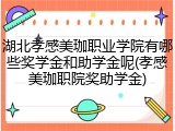 湖北孝感美珈职业学院有哪些奖学金和助学金呢(孝感美珈职院奖助学金)