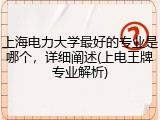 上海电力大学最好的专业是哪个，详细阐述(上电王牌专业解析)