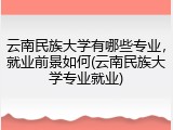 云南民族大学有哪些专业，就业前景如何(云南民族大学专业就业)